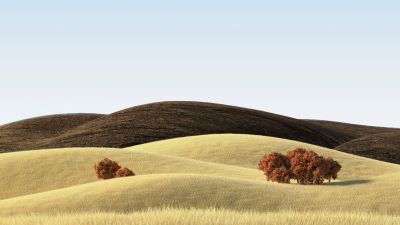 Landscape, Countryside, Wheat field, Sunny day, Vivo Pad, Stock, Summer