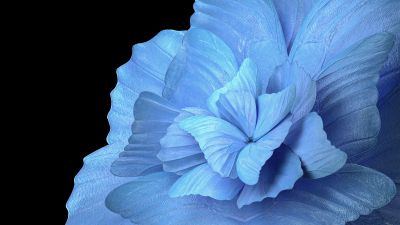 Floral Background, Blue background, Black background, Vivo Pad, Stock