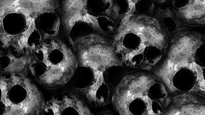 Skulls, Scary, Monochrome, 5K, Black and White