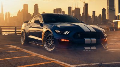 Ford Mustang Shelby GT350, Performance Sedan, 5K