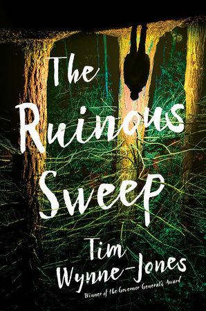 BOOK REVIEWS | GOODREADS
Book: The Ruinous Sweep by Time Wynn-Jones | My Rating: ★ ★ ★
Synopsis: On the night Donovan Turner is thrown out of a car on a highway in the middle of nowhere, he can barely remember his own name, let alone the past...