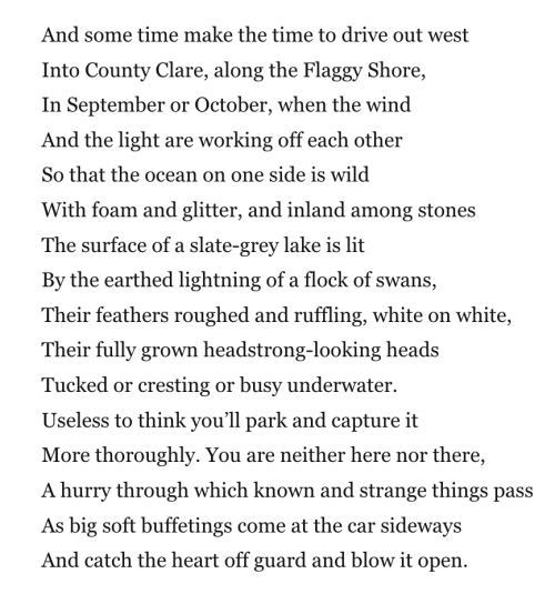 And some time make the time to drive out west Into County Clare, along the Flaggy Shore, In September or October, when the wind And the light are working off each other So that the ocean on one side is wild With foam and glitter, and inland among stones The surface of a slate-grey lake is lit By the earthed lightning of a flock of swans, Their feathers roughed and ruffling, white on white, Their fully grown headstrong-looking heads Tucked or cresting or busy underwater. Useless to think you’ll park and capture it More thoroughly. You are neither here nor there, A hurry through which known and strange things pass As big soft buffetings come at the car sideways And catch the heart off guard and blow it open.