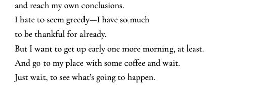 and reach my own conclusions. I hate to seem greedy—I have so much to be thankful for already. But I want to get up early one more morning, at least. And go to my place with some coffee and wait. Just wait, to see what’s going to happen.