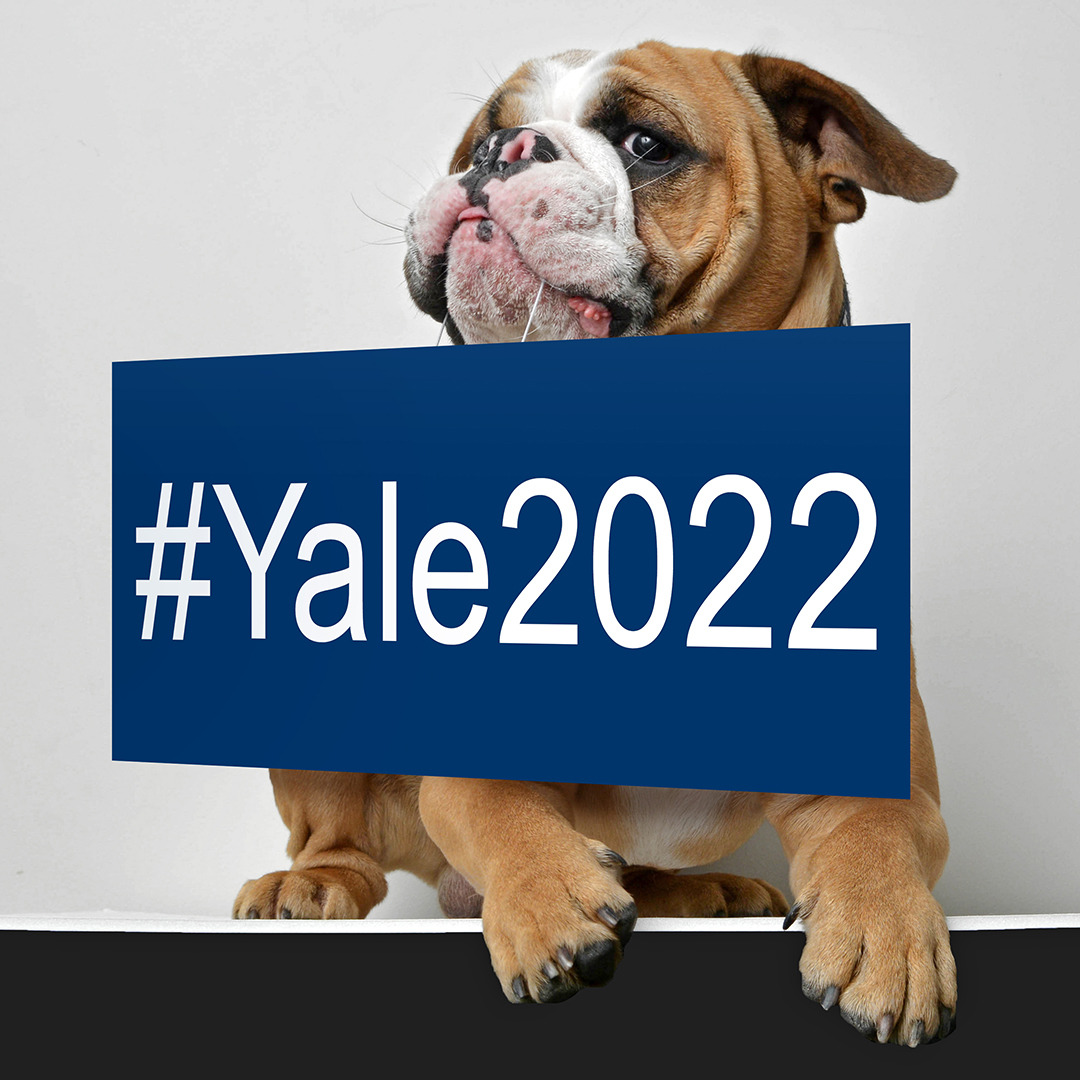 Yale’s Office of Undergraduate Admissions has completed its review of the 35,306 applications for the Class of 2022 and has offered admissions to 2,229 students. This marks the second year with a larger first-year class after the opening of Pauli...