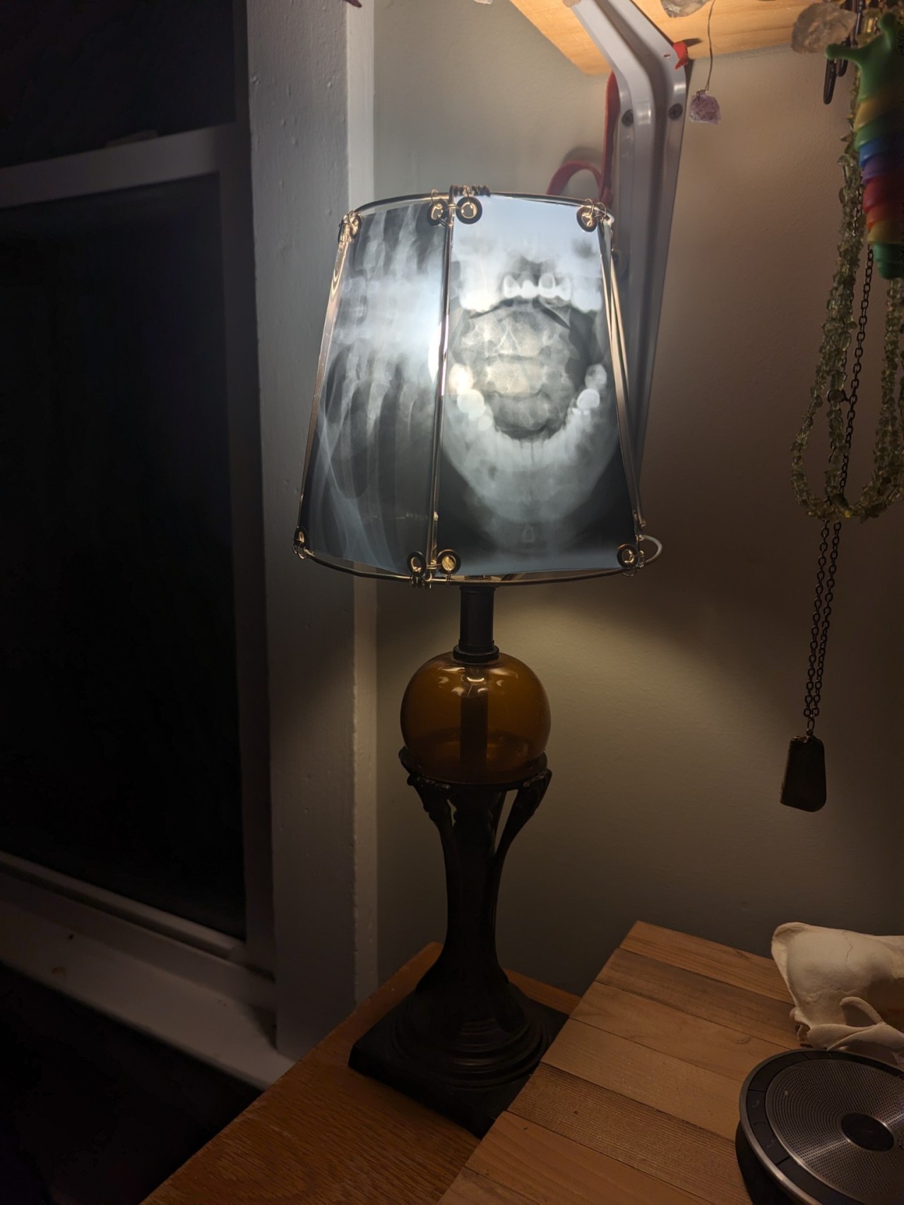 a small desk lamp with a homemade shade made out of old x-ray films. the lamp is on, which lights up the images of the bones