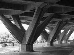 formlab:
“ITALIAN EMBASSY, BRASILIA, Pier Luigi Nervi, 1971
”