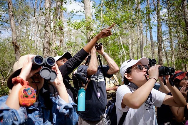 Our student photographer, Riley Herriman (‘22), took a biology class over spring break, heading to Florida to learn about birds with professor Dave Anderson. See his incredible photos at the link in our bio. #wfu #birds #birding...