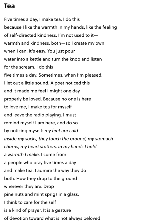 Tea  Five times a day, I make tea. I do this because I like the warmth in my hands, like the feeling of self-directed kindness. I’m not used to it— warmth and kindness, both—so I create my own when I can. It’s easy. You just pour water into a kettle and turn the knob and listen for the scream. I do this five times a day. Sometimes, when I’m pleased, I let out a little sound. A poet noticed this and it made me feel I might one day properly be loved. Because no one is here to love me, I make tea for myself and leave the radio playing. I must remind myself I am here, and do so by noticing myself: my feet are cold inside my socks, they touch the ground, my stomach churns, my heart stutters, in my hands I hold a warmth I make. I come from a people who pray five times a day and make tea. I admire the way they do both. How they drop to the ground wherever they are. Drop pine nuts and mint sprigs in a glass. I think to care for the self is a kind of prayer. It is a gesture of devotion toward what is not always beloved