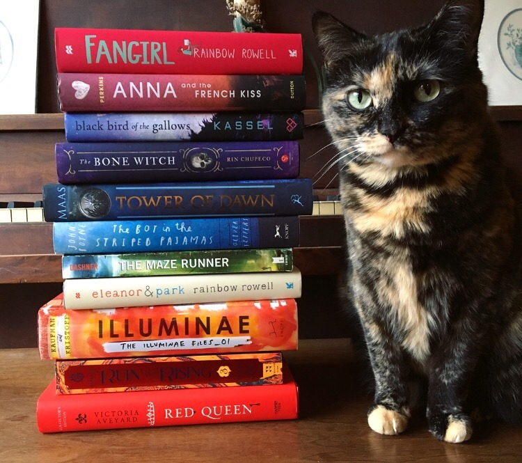 A little book rainbow on a cloudy day 🌈