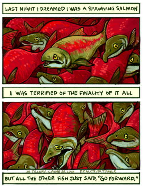 Caption: "Last night I dreamed I was a spawning salmon." One salmon in the center of a crush of swimming red and green fish looks worried. It is not as red as the rest. Caption: "I was terrified of the finality of it all." The central fish has matured rapidly and looks distraught, flailing against all the other fish around it. Caption: "But the other fish just said, 'go forward.'"