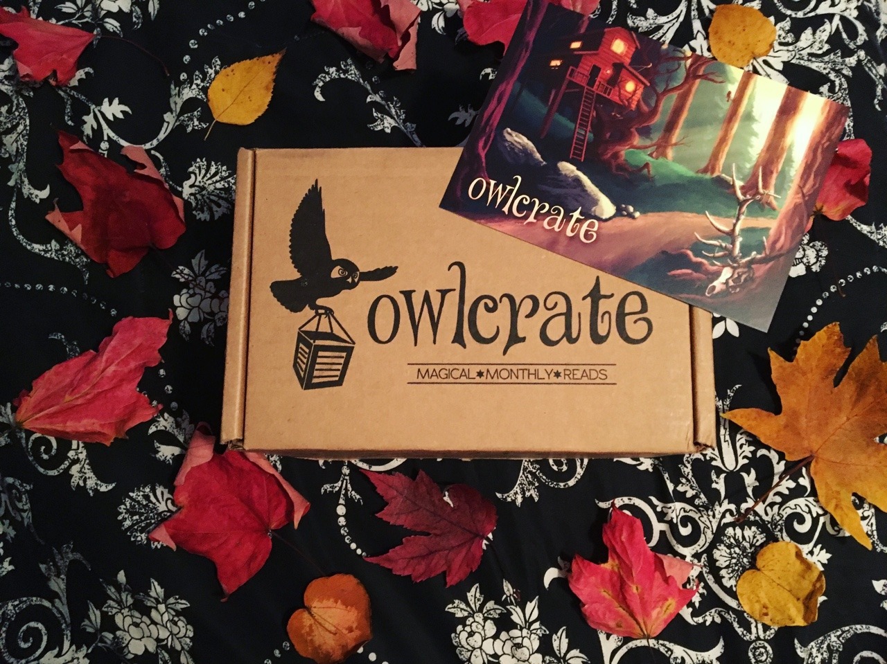 Got my owlcrate today! The October theme was “Find Me In The Forest” and it was the best one yet! 🍂