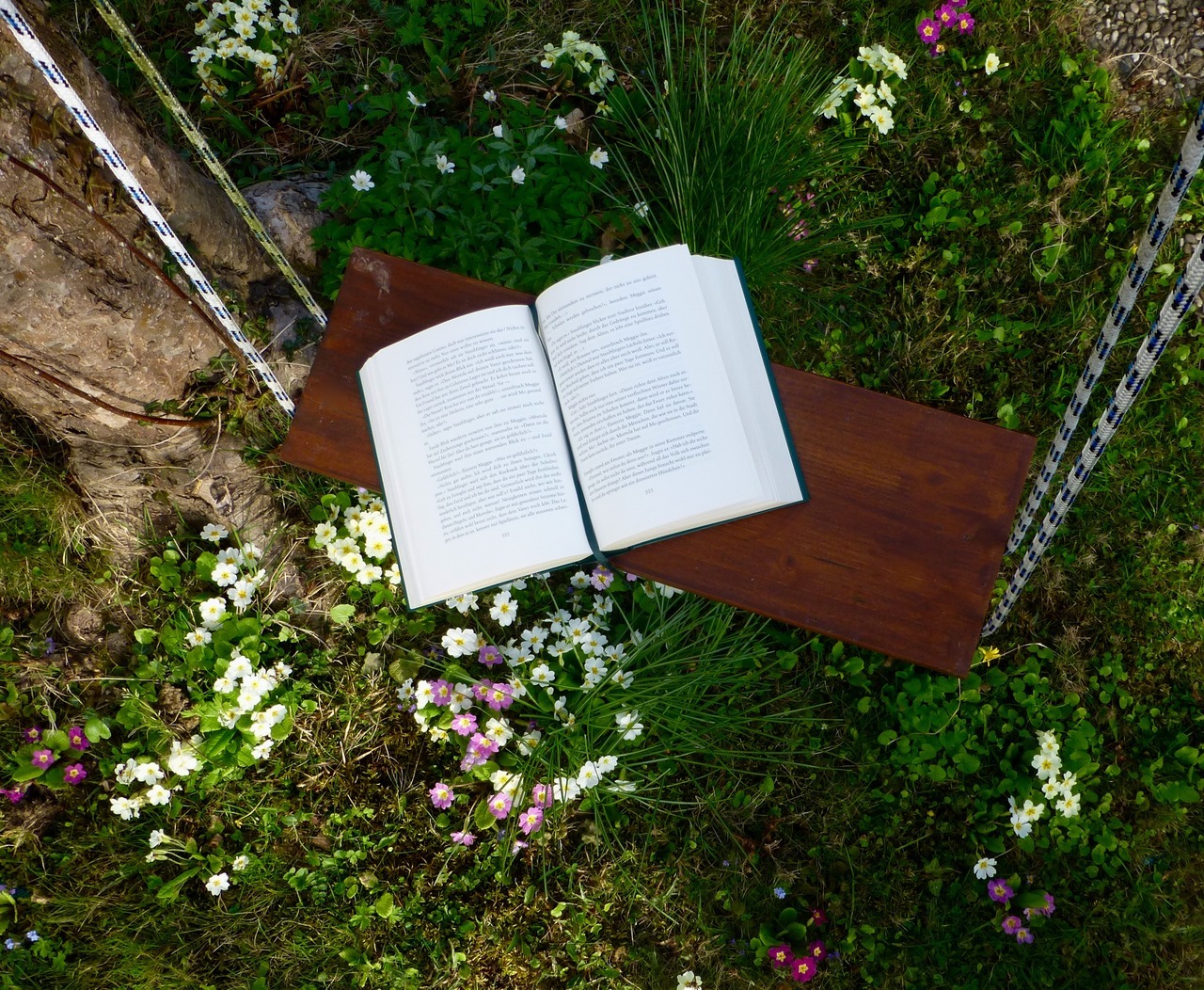 buecherundgeschichten:
“absolutely love sitting on the swings and reading a book in the summertime!
”