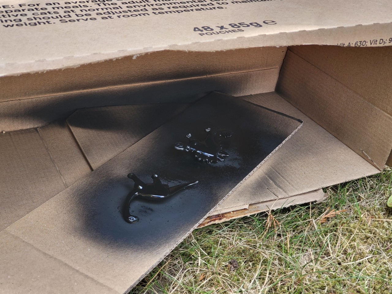 2 plastic dinosaurs spray painted black in a box