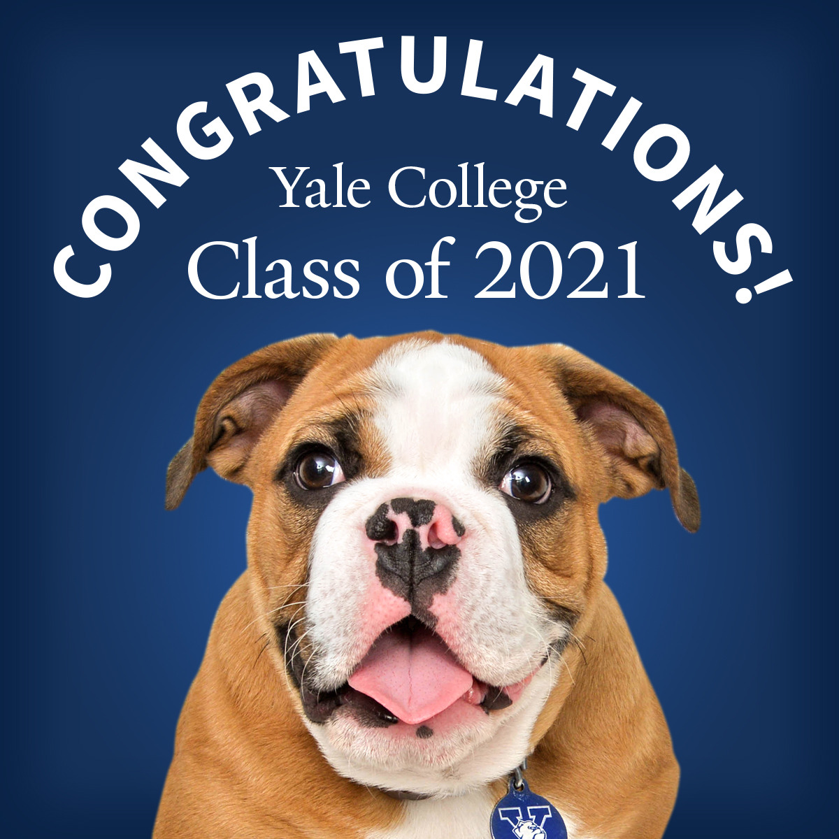 Congratulations to the newly admitted Yale College Class of 2021.