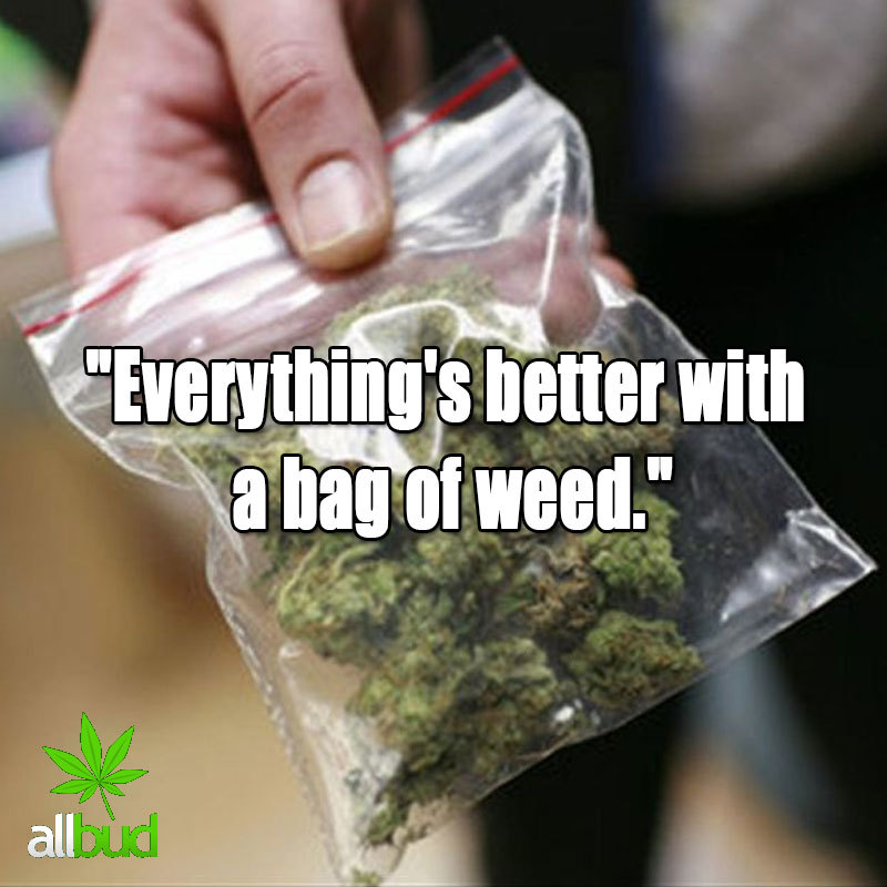 Everything’s better with a beg of weed.