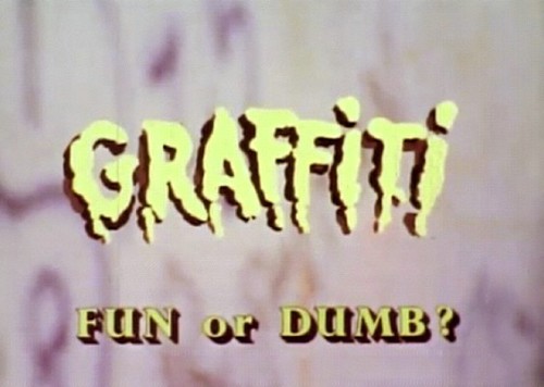 Graffiti. Fun or Dumb (1976) Helaine Swerldloff