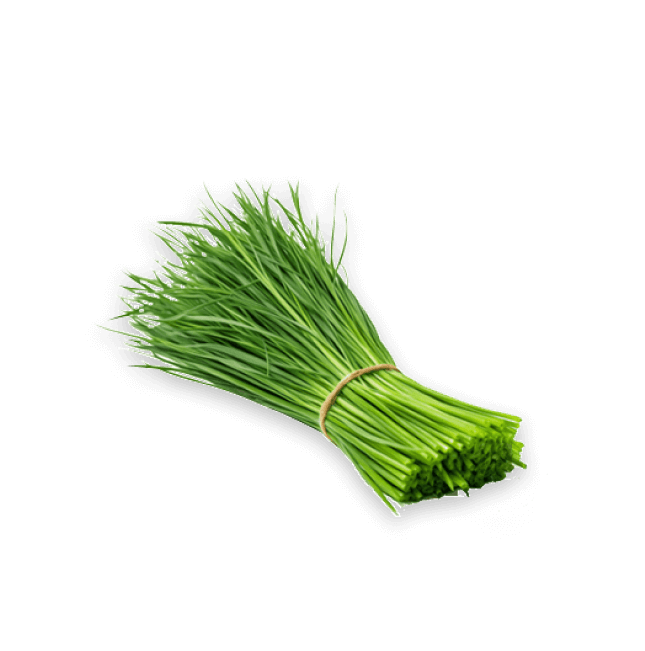 wheatgrass