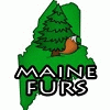 mainefurs