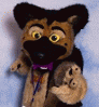 SPARKYGSHEP