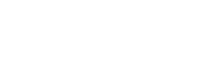 Elegoo