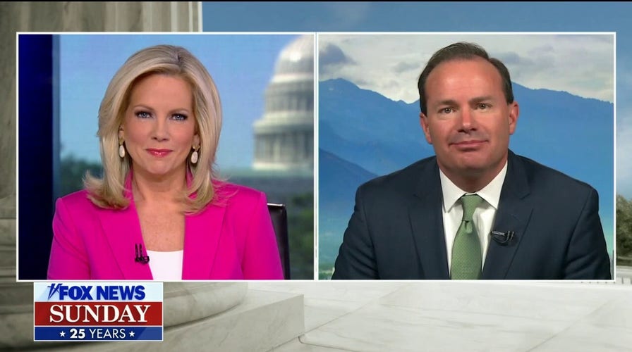 Congress should avoid legislating gun reform in the 'heat of the moment': Sen. Mike Lee