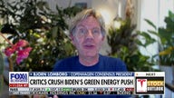 EVs are 'net negative' and not part of renewable solution: Bjorn Lomborg