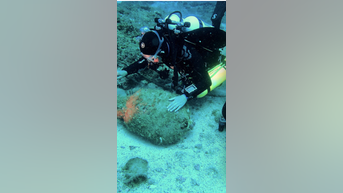 Divers DISCOVER 'hidden treasures'