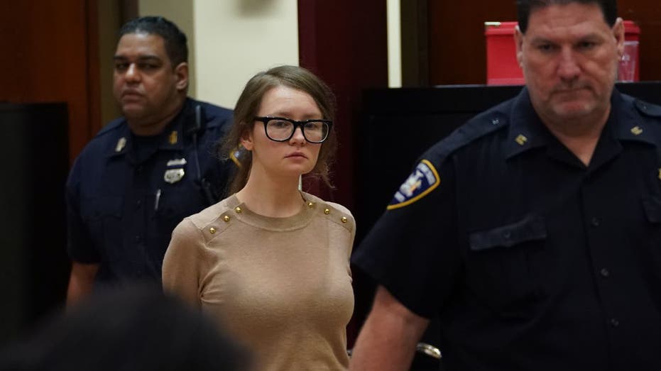 Anna Delvey in court