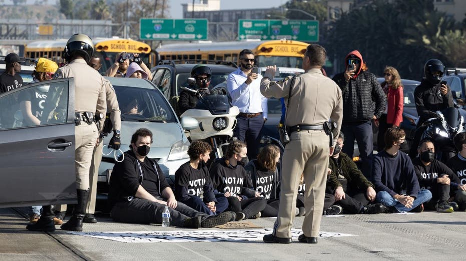 Los Angeles highway protest