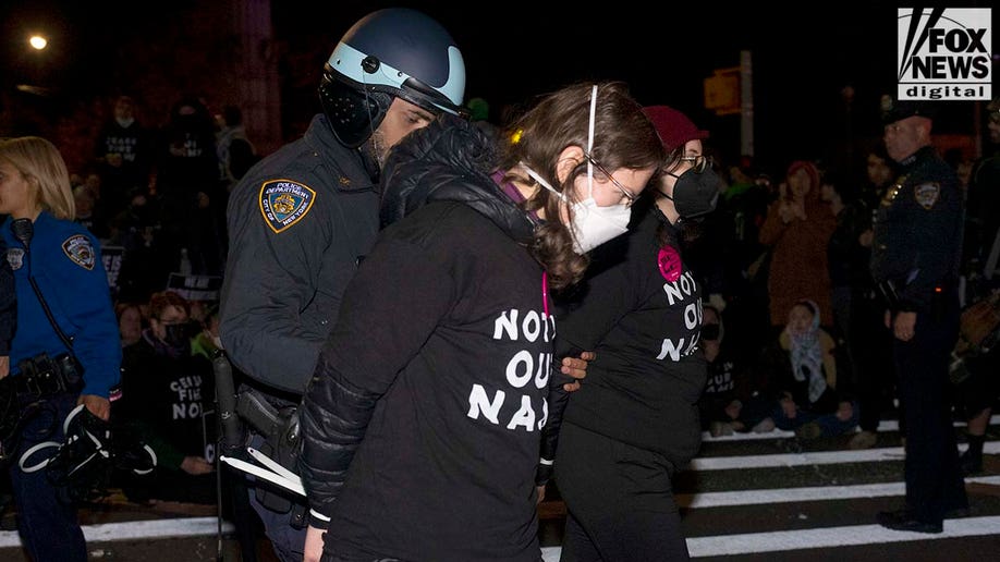 Protest outside Schumer's Brooklyn house at night