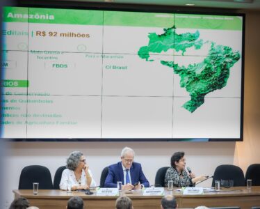 MMA e BNDES lançam os primeiros editais para restauração da Amazônia