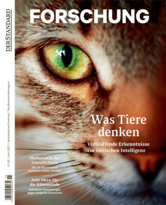 Forschung #10