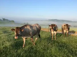 South Downs Rural Retreats