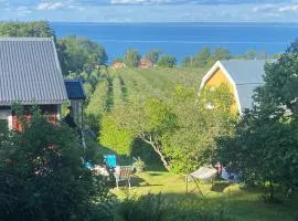 Cottage with sea view, Kattviksvägen