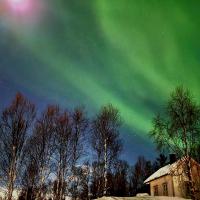 Cabin magic on Senja, atmosphere like a fairytale，位于Botnhamn的酒店