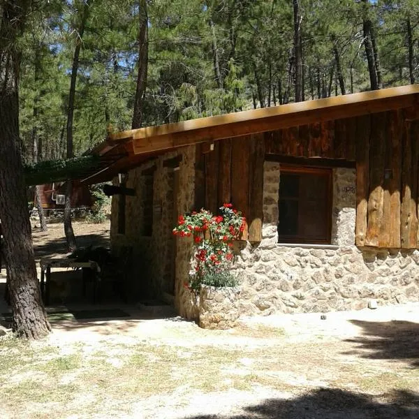 Cabaña en plena naturaleza Parque Natural Río mundo，位于里奥帕尔的酒店