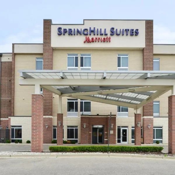 Springhill Suites by Marriott Detroit Metro Airport Romulus，位于Wayne的酒店