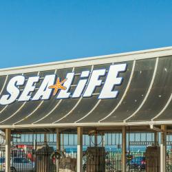 海洋生活（Sea Life）水族馆布莱顿店