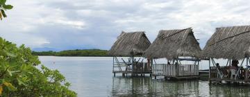 Bocas del Toro的酒店