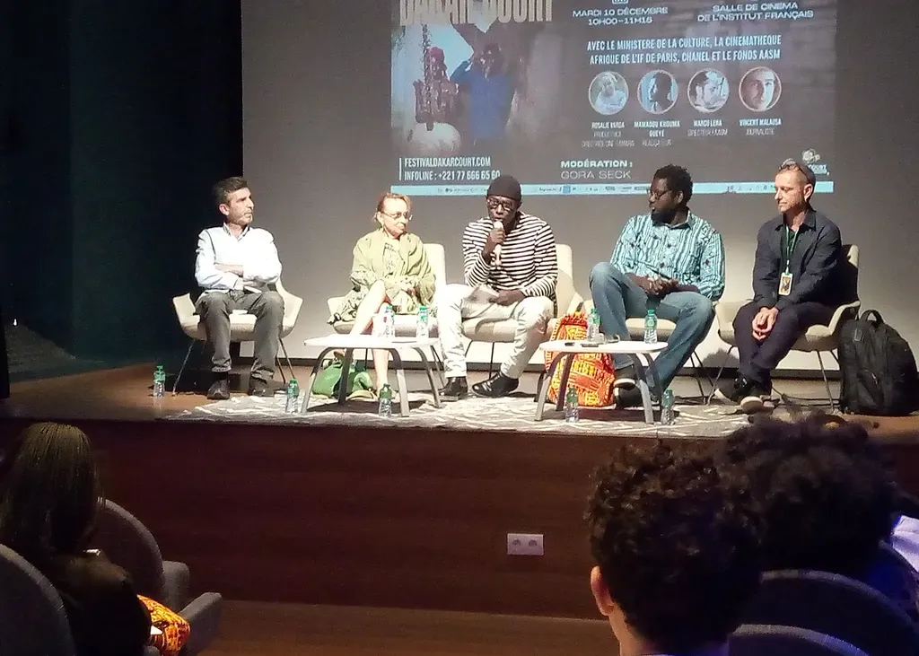 Cinema and Heritage Panel, during the Dakar Court Festival on December 10, 2024. (Photo by Charles 