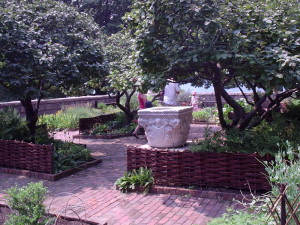 Apothecary's Garden at The cloisters