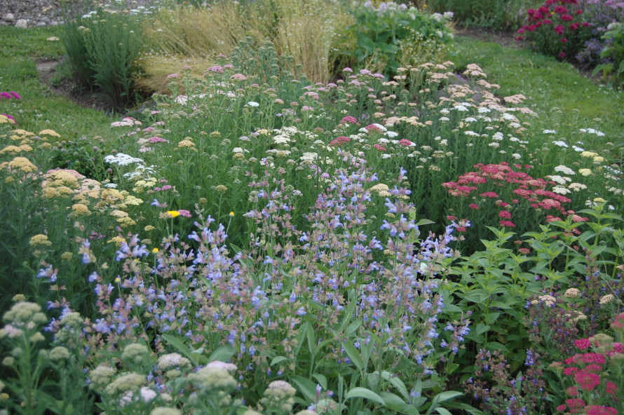 Cottage Garden Rodale