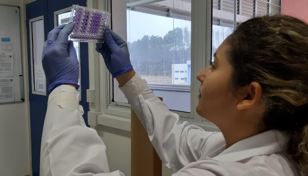 Composto combate bactérias resistentes em menos de uma hora