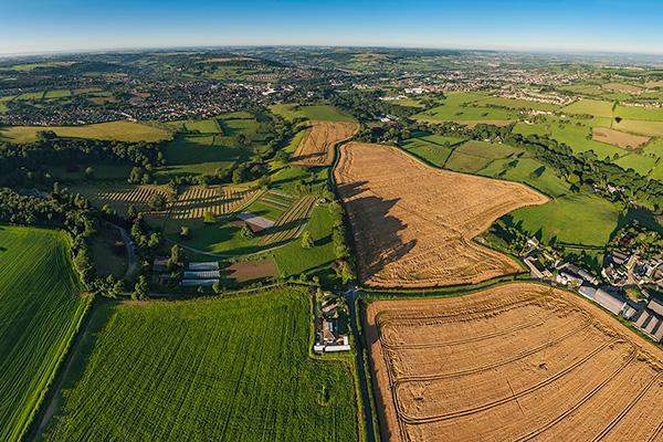 Aerial view of a large green field