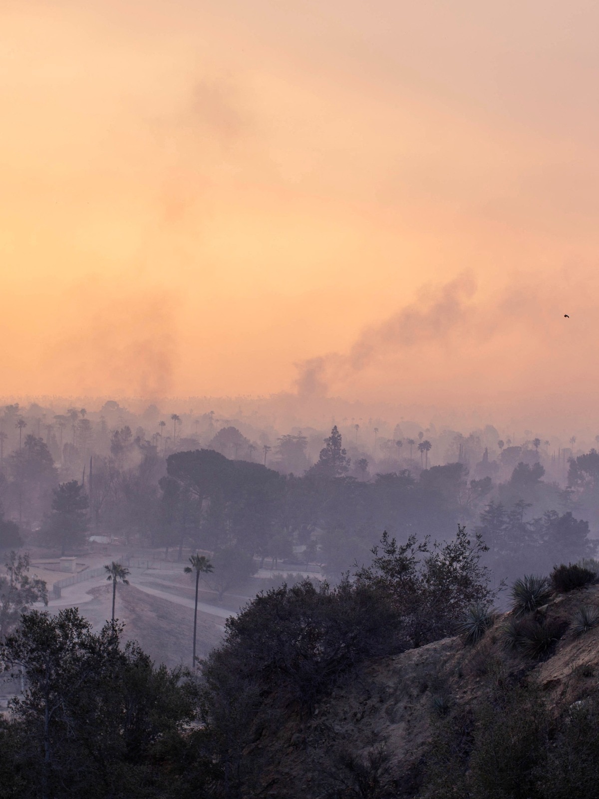 Smoke rises as the wildfires burn in the Los Angeles area at the Eaton Fire in Altadena California in the US. (Photo: AFP)