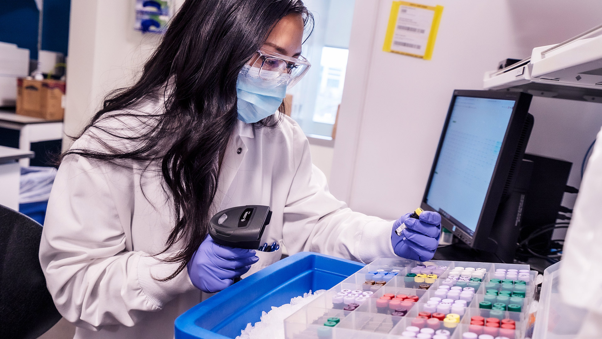 Allen Institute for Immunology researcher processing samples