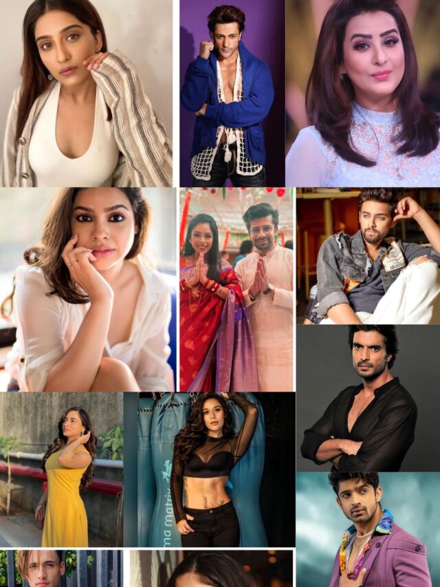 Khatron Ke Khiladi 14 Contestants List With Photos