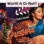 The Pushpa 2 Review Pushpa The Rule Movie Review