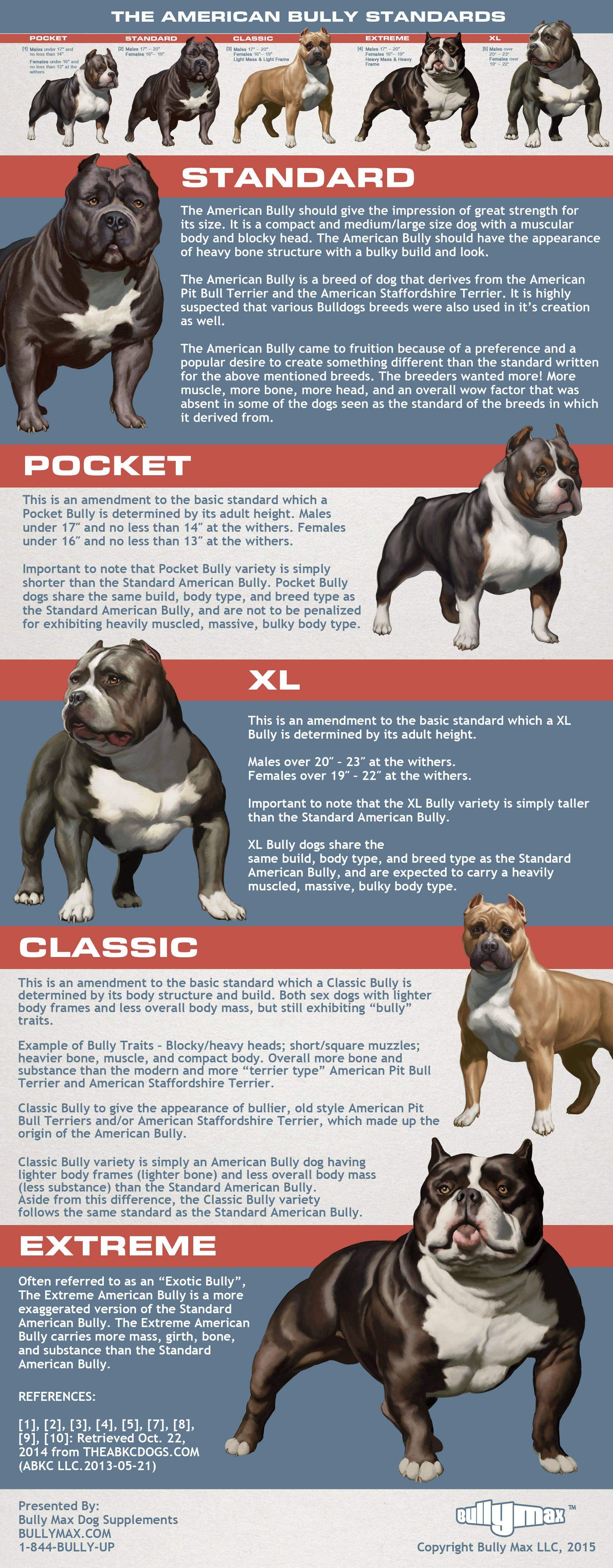 Average Pitbull Weight Chart