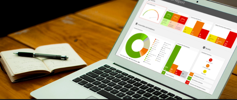 software composition analysis